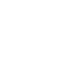 feature-icon